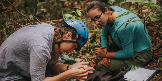 Two biologists sitting on the ground examining a Sharp-shinned Hawk egg