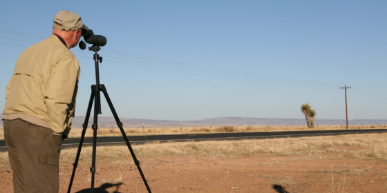 Biologist looks through scope at distant falcon nest