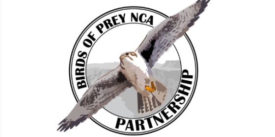 Snake River Raptor Fest