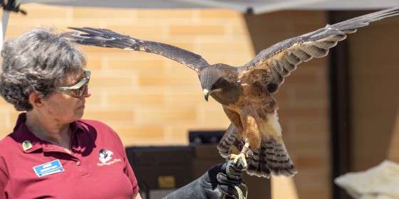 Raptors at the Library!
