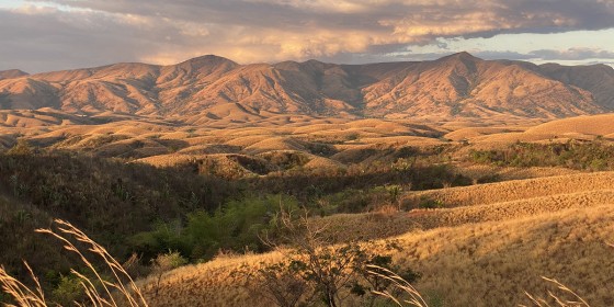 Grasslands and distant mountains lit by a sunset.