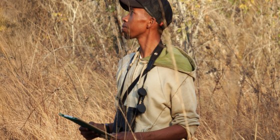 Heritiana Josoa Randriamanantena in the field holding bincoulars and a clipboard.