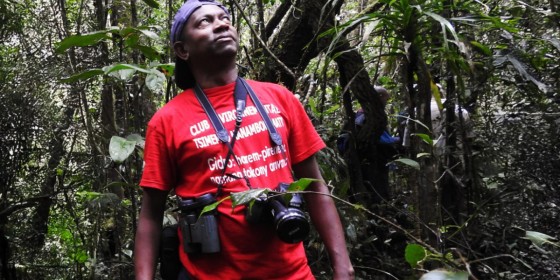 Marius Rakotondratsima in dense forest looking at something above him.