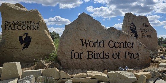 WCBP TAF TPF Stones May 2025