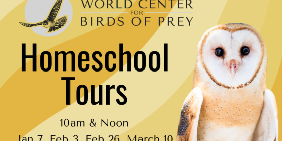 Homeschool Tours at the World Center for Birds of Prey