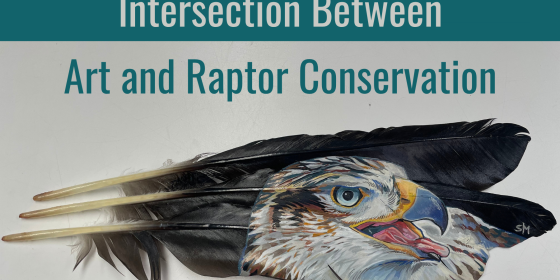 Intersection Between Art and Raptor Conservation