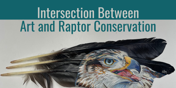 Intersection Between Art and Raptor Conservation