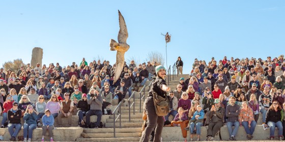 Jadn Lure Flying Over Audience