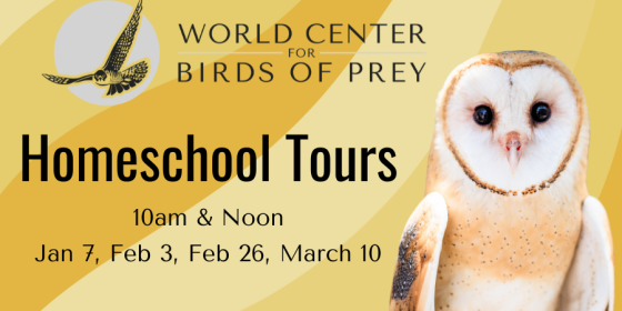 Homeschool Tours at the World Center for Birds of Prey