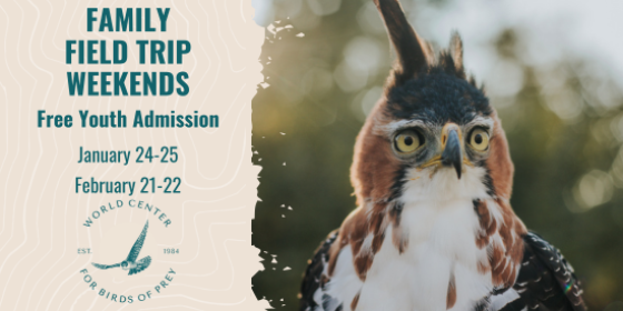 Family Field Trip Weekends Free Youth Admission