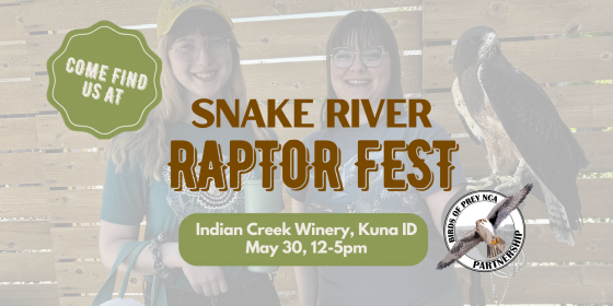 Come find us at the Snake River Raptor Fest @ Indian Creek Winery, Kuna ID May 30 12-5pm