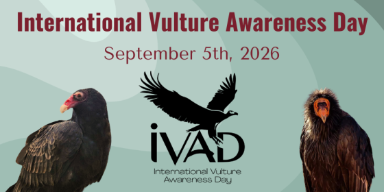 International Vulture Awareness Day September 5th