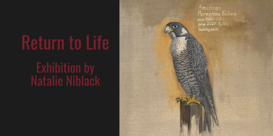 Return to Life Exhibition by Natalie Niblack