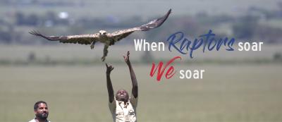 Giving Tuesday - When raptors soar, WE soar!